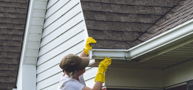 Окончательный контрольный список для осенней сантехники Woman Cleaning Gutters on Her House